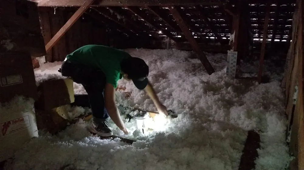 A worker in a green shirt inspects attic insulation with a flashlight in a dimly lit space, surrounded by loose-fill insulation material.